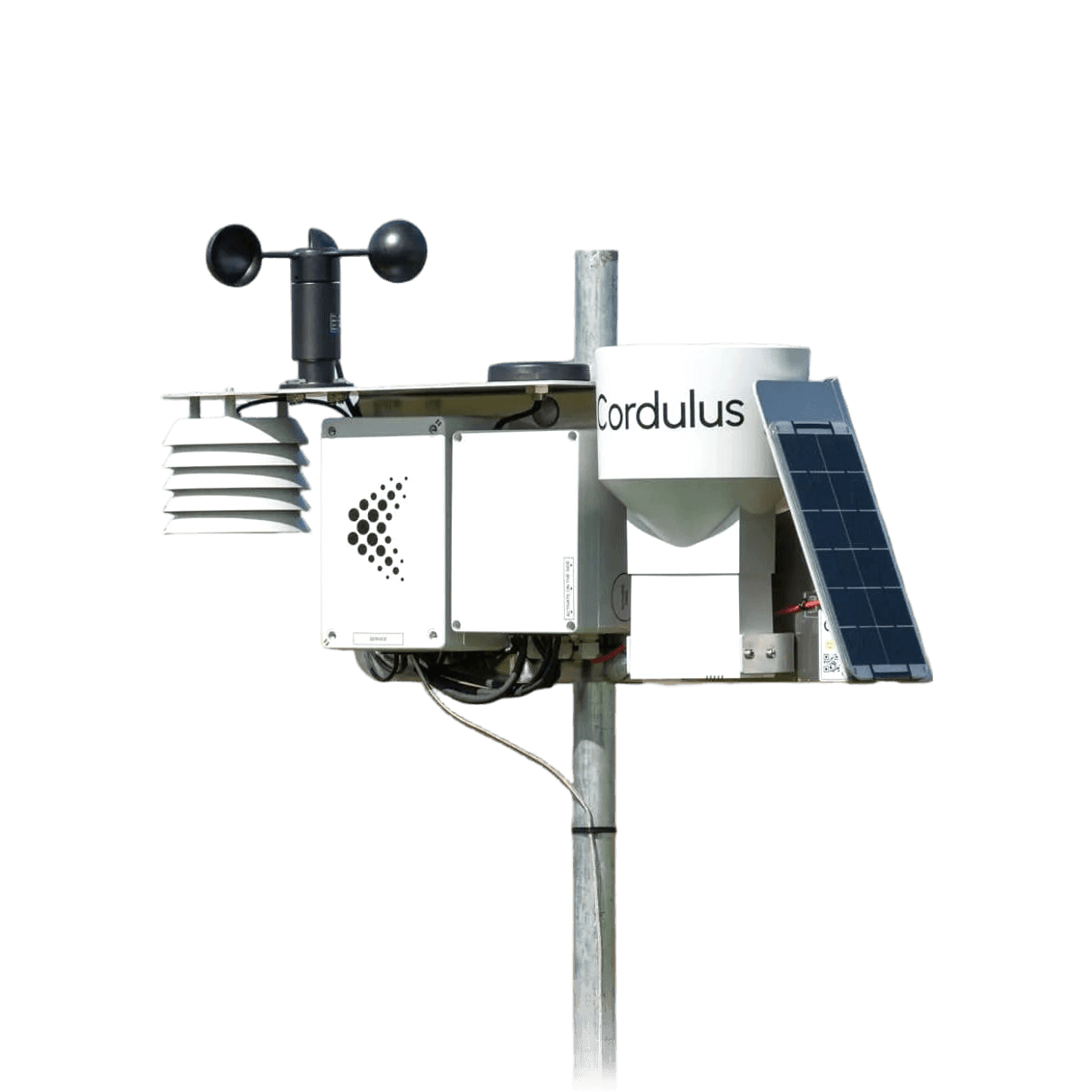 Die Wetterstation von Bau-Wetter auf einem Mast: Schalenkreuz, Windfahne, Strahlungsschutz, Regenmesser und Solarpanel